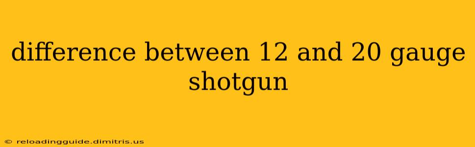 difference between 12 and 20 gauge shotgun