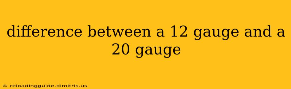 difference between a 12 gauge and a 20 gauge