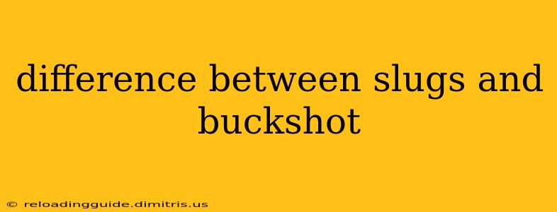 difference between slugs and buckshot