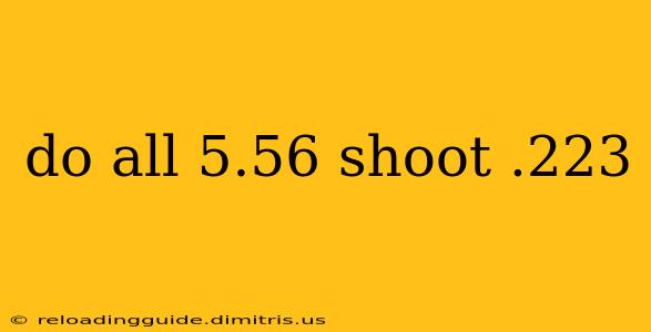 do all 5.56 shoot .223