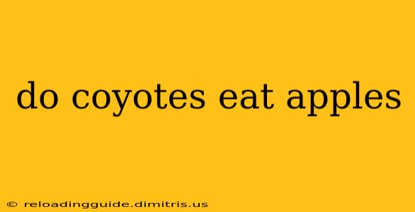 do coyotes eat apples