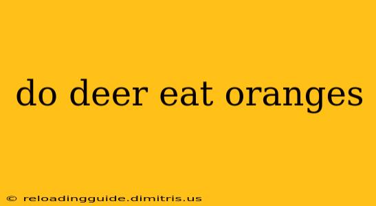 do deer eat oranges