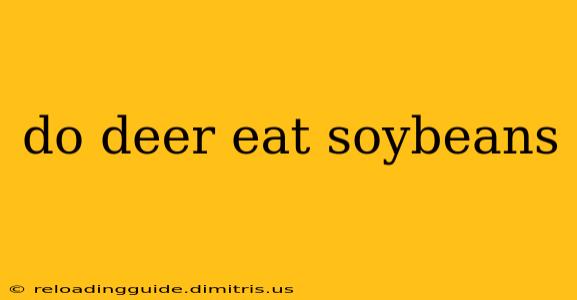 do deer eat soybeans