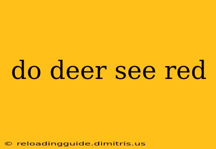 do deer see red