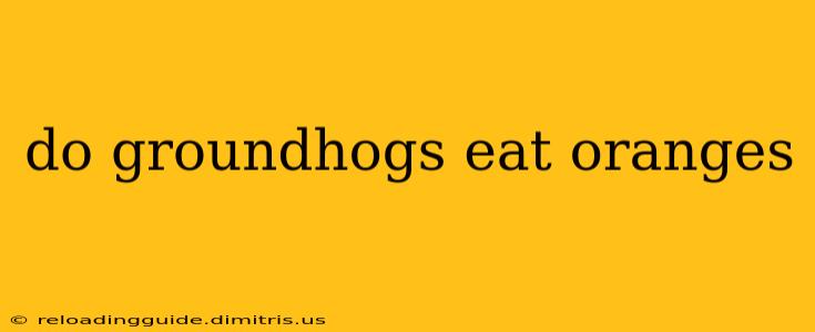 do groundhogs eat oranges