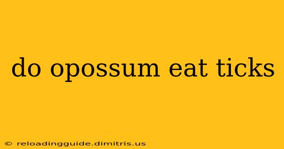 do opossum eat ticks