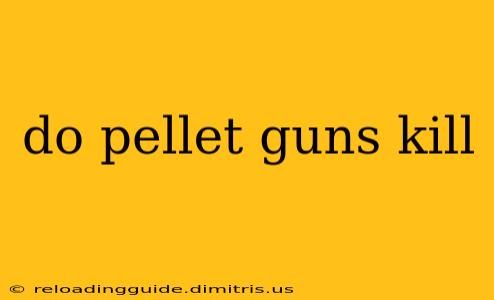 do pellet guns kill