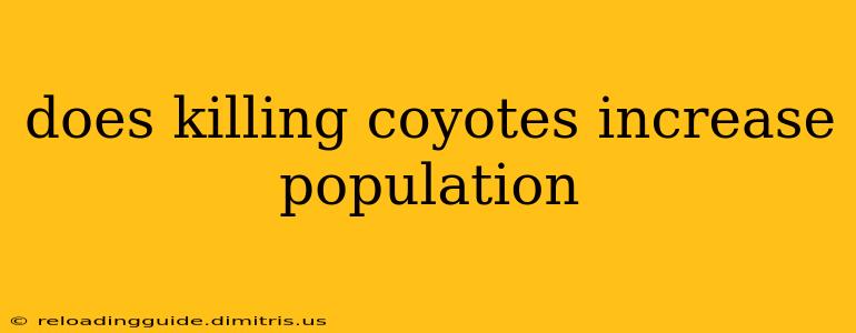 does killing coyotes increase population