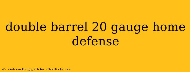 double barrel 20 gauge home defense