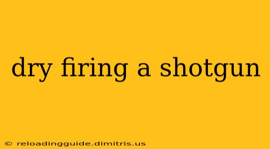 dry firing a shotgun