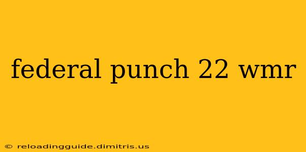 federal punch 22 wmr