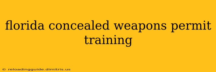 florida concealed weapons permit training