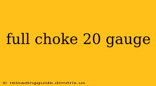 full choke 20 gauge