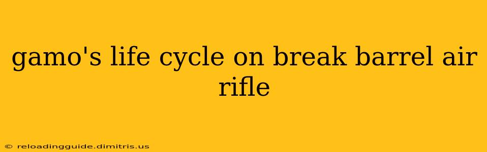 gamo's life cycle on break barrel air rifle