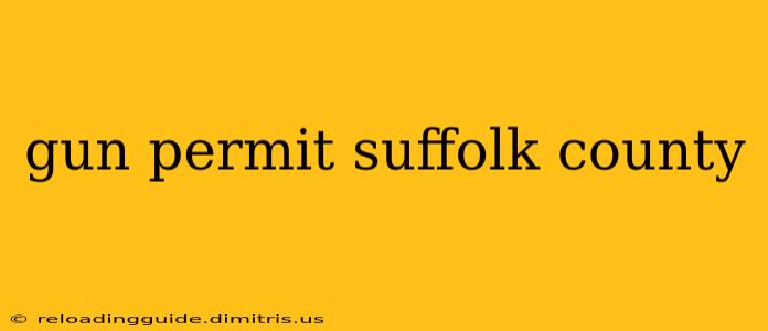 gun permit suffolk county