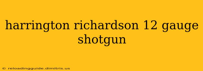 harrington richardson 12 gauge shotgun