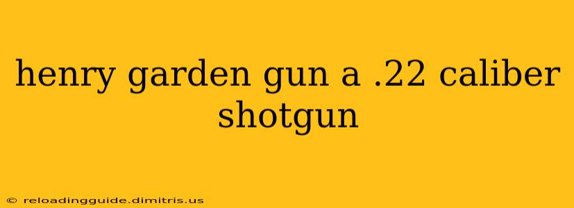 henry garden gun a .22 caliber shotgun