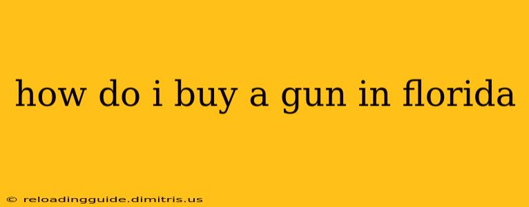 how do i buy a gun in florida