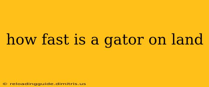 how fast is a gator on land