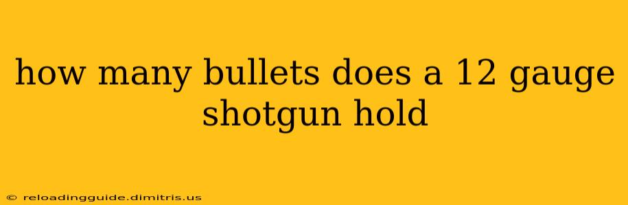 how many bullets does a 12 gauge shotgun hold