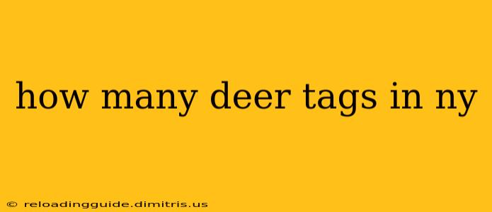 how many deer tags in ny