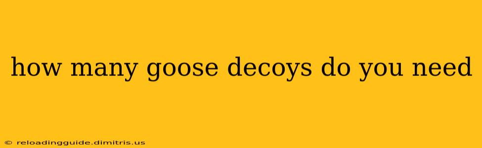 how many goose decoys do you need