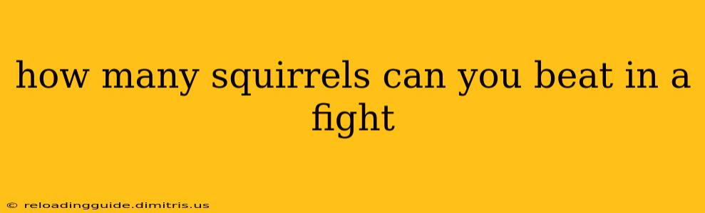 how many squirrels can you beat in a fight