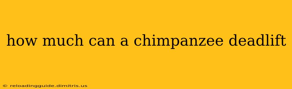 how much can a chimpanzee deadlift