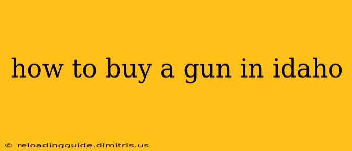 how to buy a gun in idaho