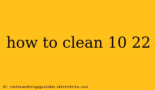 how to clean 10 22