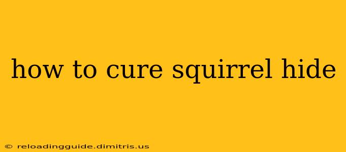 how to cure squirrel hide