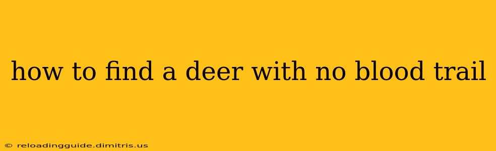 how to find a deer with no blood trail