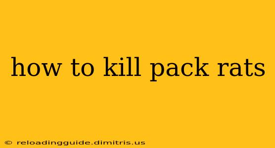 how to kill pack rats