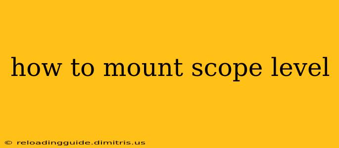 how to mount scope level