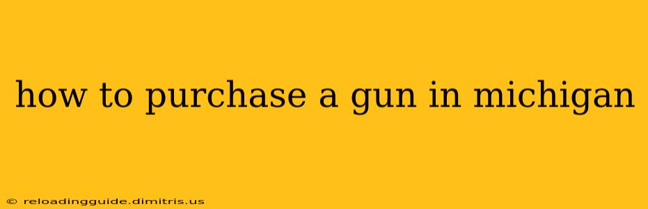 how to purchase a gun in michigan