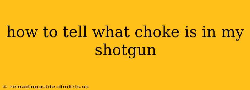 how to tell what choke is in my shotgun