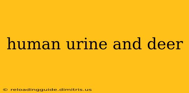 human urine and deer