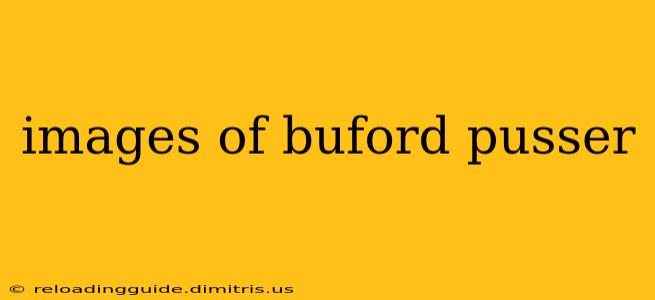 images of buford pusser