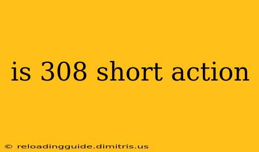 is 308 short action