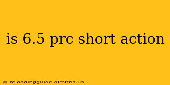 is 6.5 prc short action