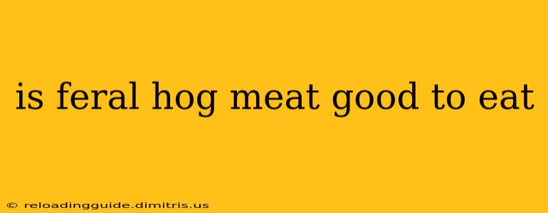 is feral hog meat good to eat