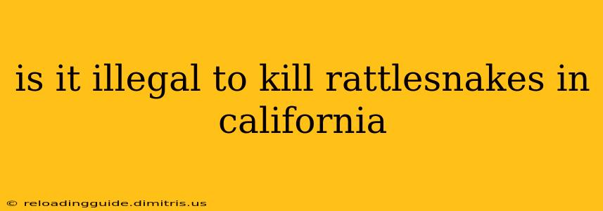 is it illegal to kill rattlesnakes in california