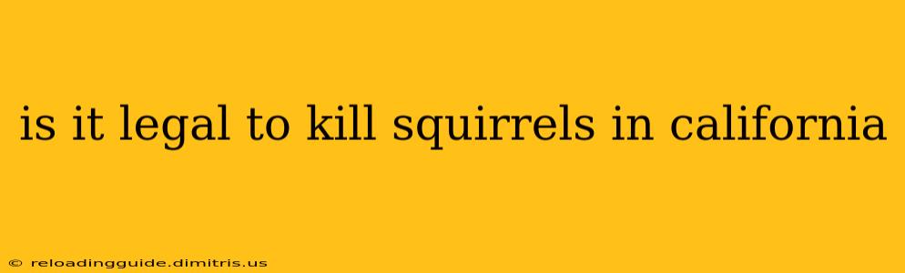 is it legal to kill squirrels in california