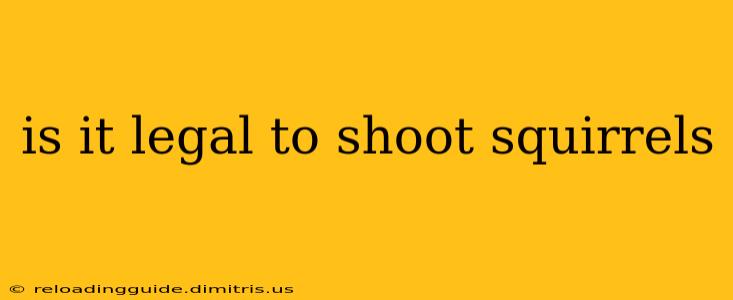 is it legal to shoot squirrels