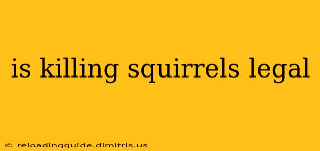 is killing squirrels legal