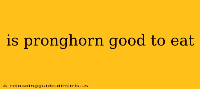 is pronghorn good to eat