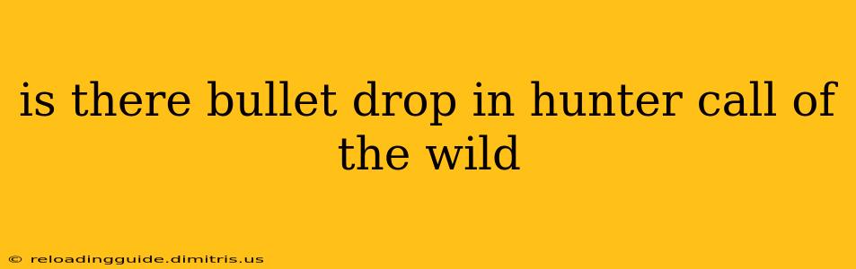 is there bullet drop in hunter call of the wild