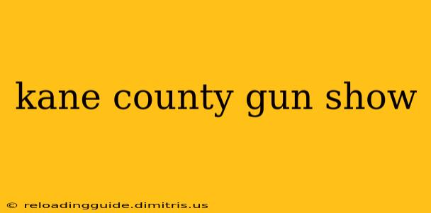 kane county gun show