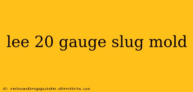 lee 20 gauge slug mold