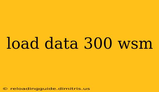 load data 300 wsm